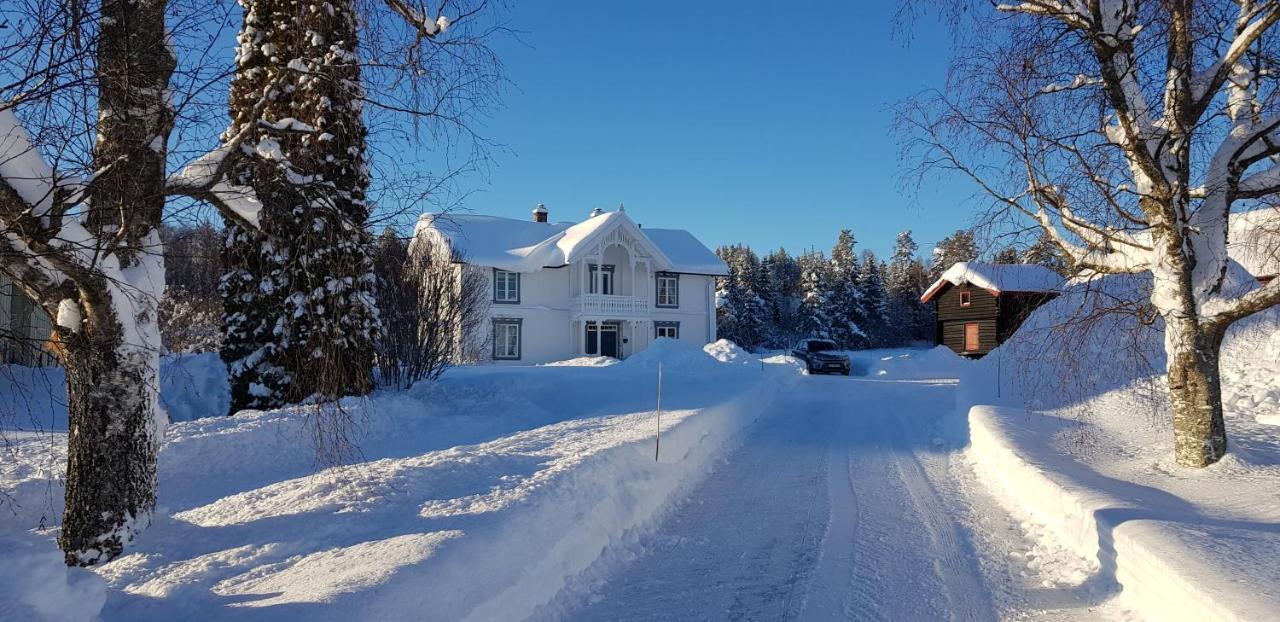 Apartamento Drolsum Gard Vikersund Exterior foto