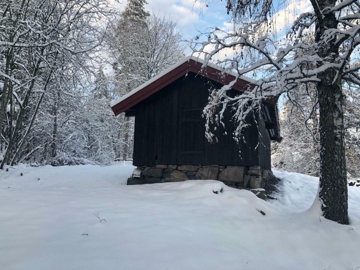 Apartamento Drolsum Gard Vikersund Exterior foto